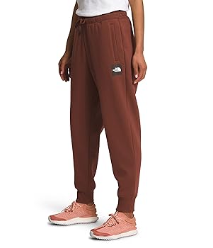 Amazon.com: THE NORTH FACE Women's Plus Box NSE Jogger, Dark